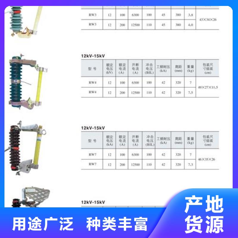 HPRW12-27/100高压跌落保险