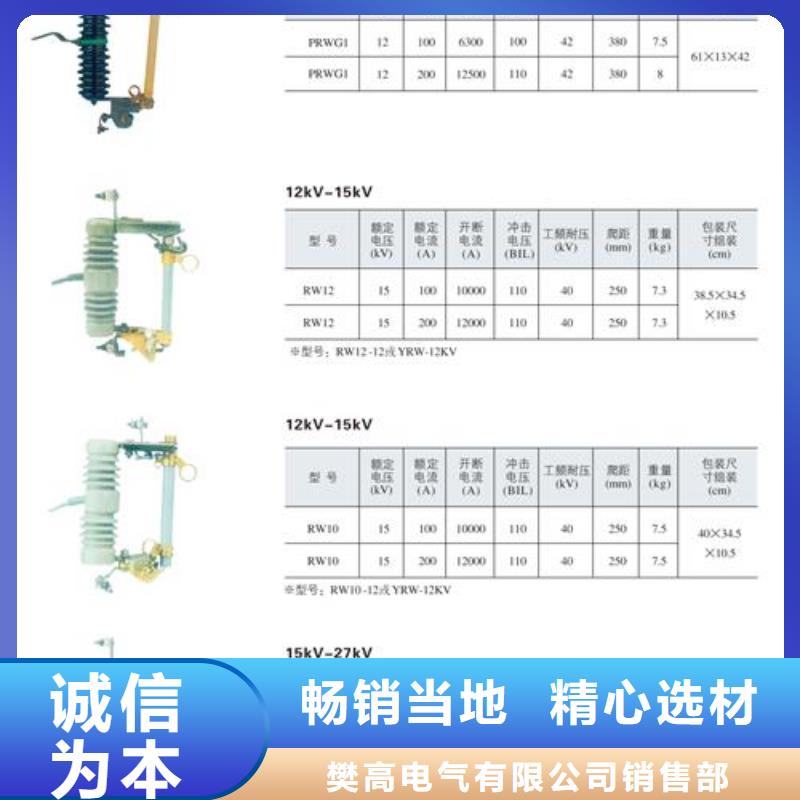 RN1-10/15户内高压限流熔断器