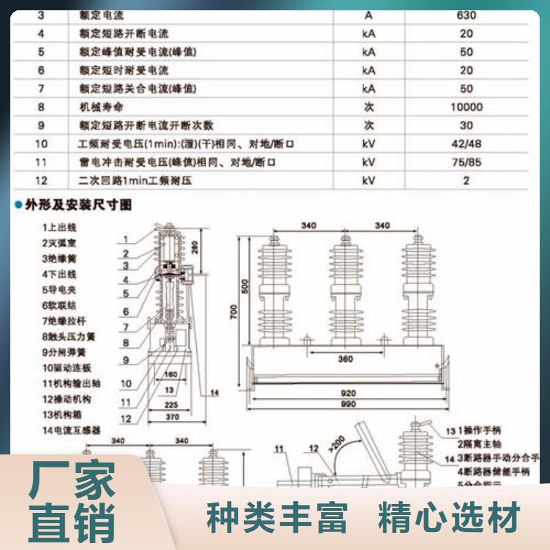 ZW32M-12/T630-20户外永磁式真空断路器