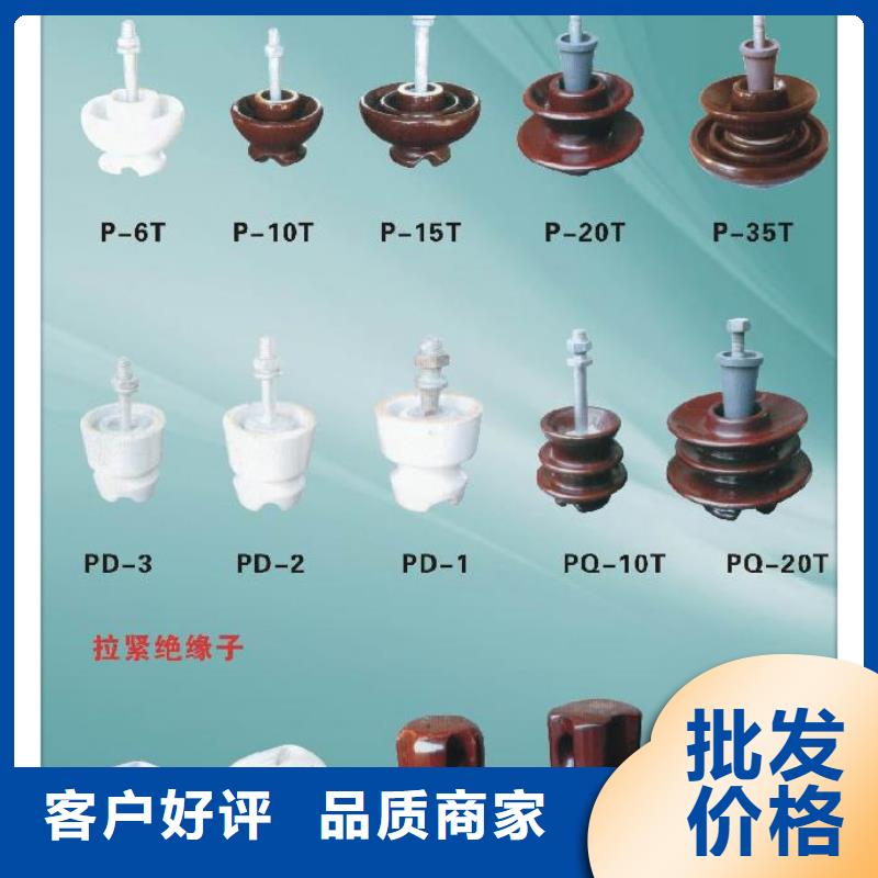 ZSW2-20/10高压绝缘子