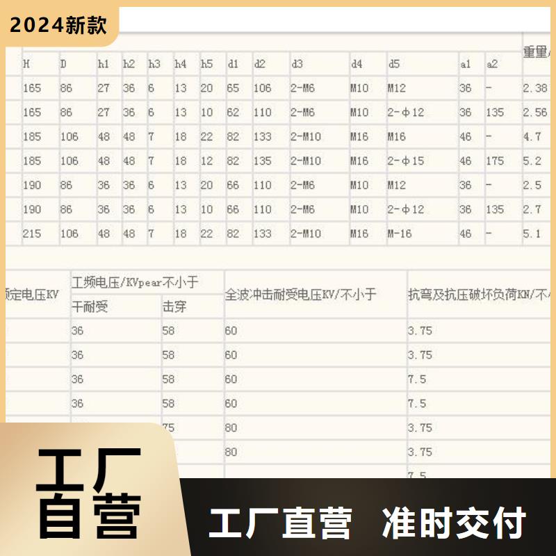 ZSW2-20/10高压绝缘子