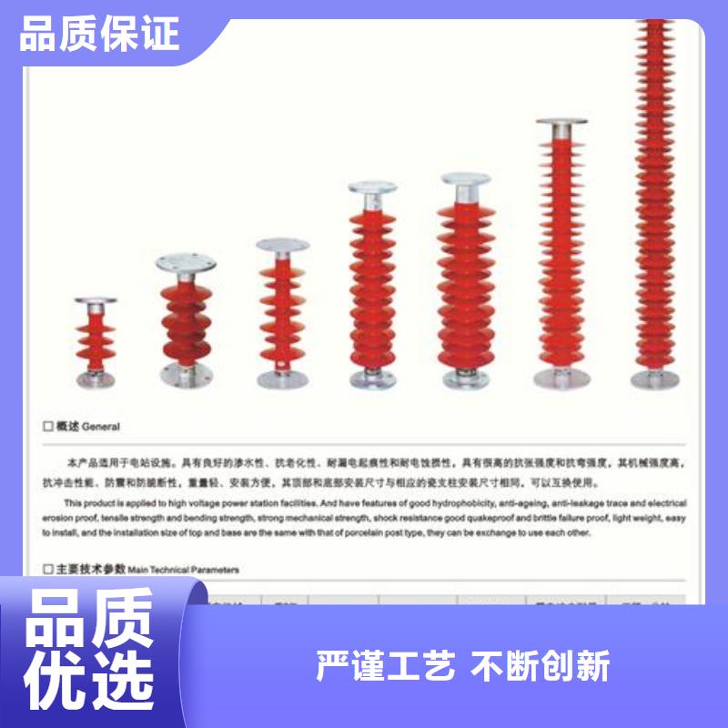 ZSW-20/1000高压陶瓷绝缘子