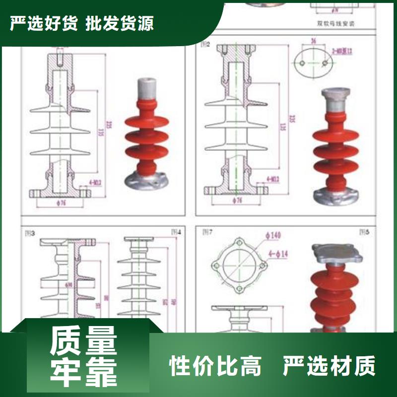 ZN-10KV/65*140环氧树脂绝缘子临高县