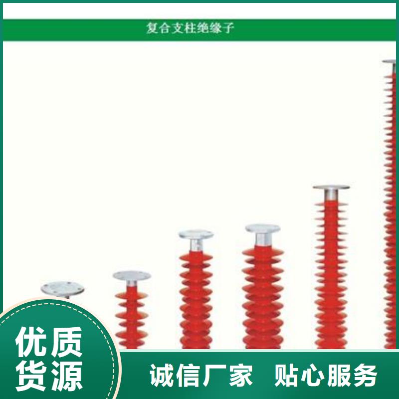 PQ1-10T/M高压绝缘子樊高电气