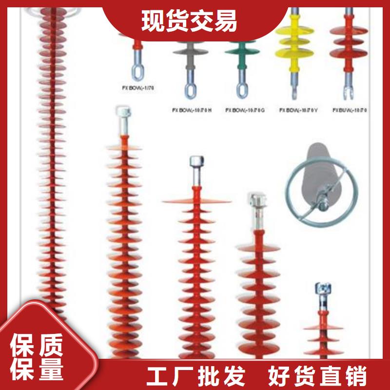 FZSW4-24/8L高压复合绝缘子