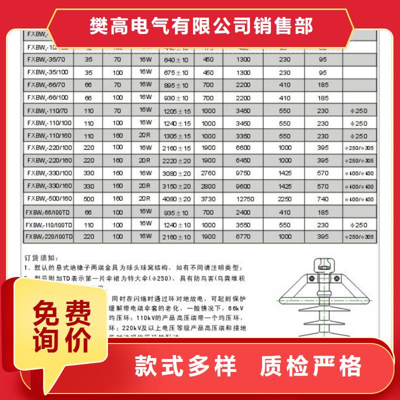 DSN-DMZ户内电磁门锁高压带电显示器