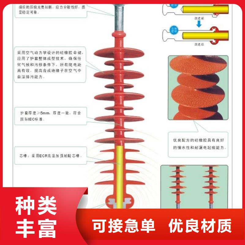 FZSW4-110/16复合支柱绝缘子