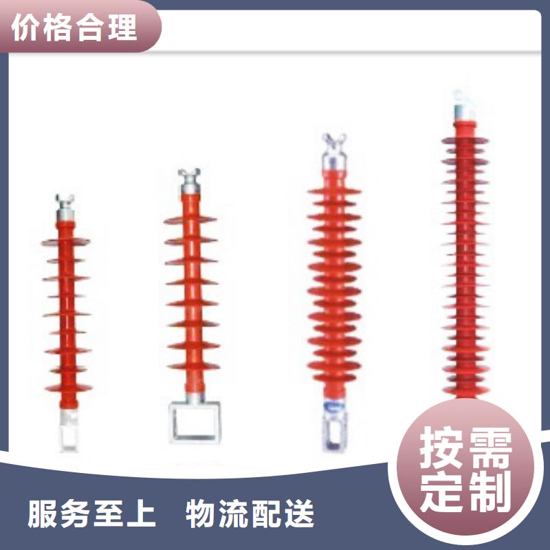 ZN-20/30陶瓷绝缘子