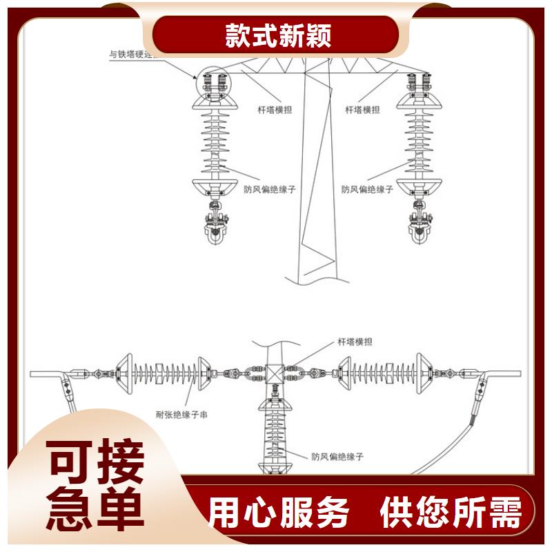 ZPA-6户外高压绝缘子