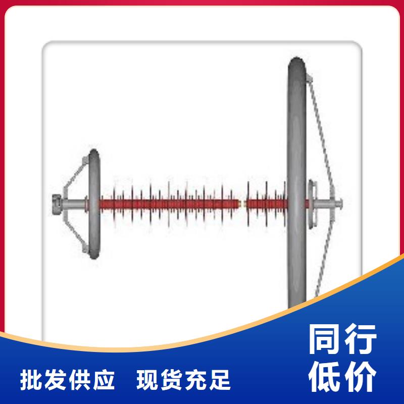 DXN8-35Q高压带电显示器