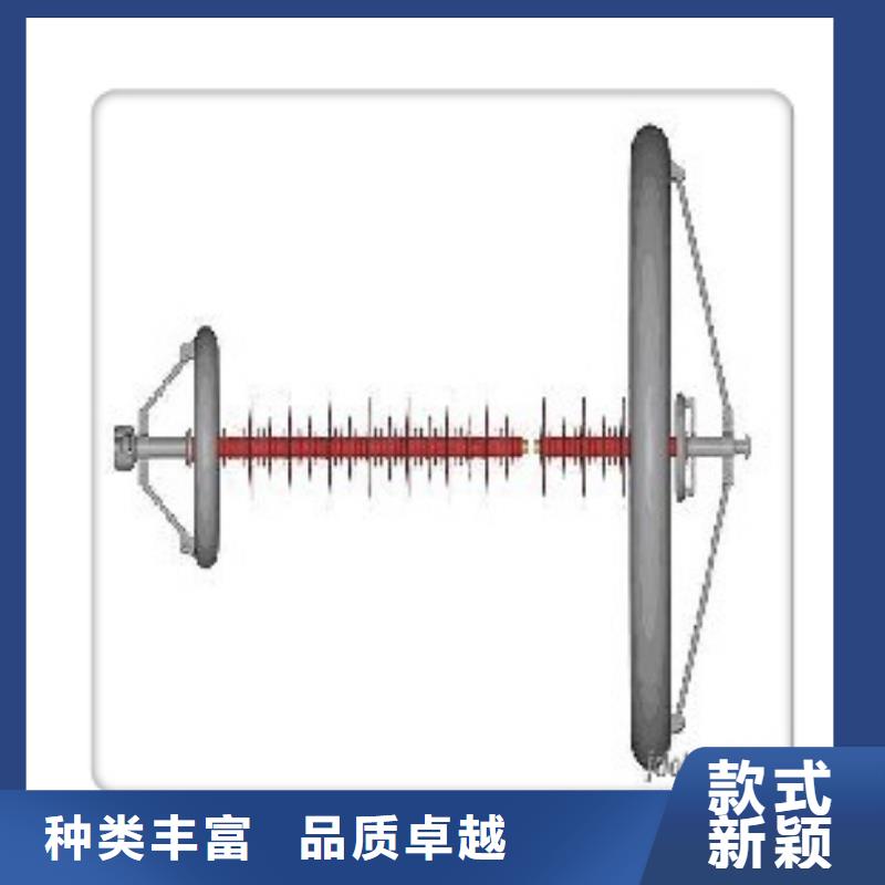 ZSW2-35/10-4高压陶瓷绝缘子