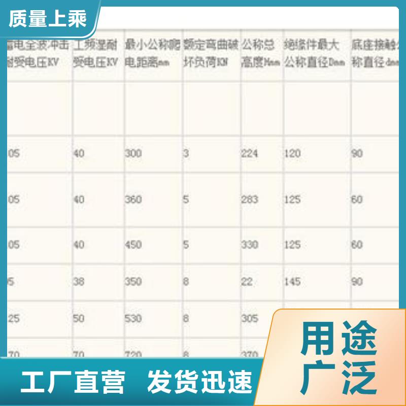 FXBW2-330/160棒型绝缘子