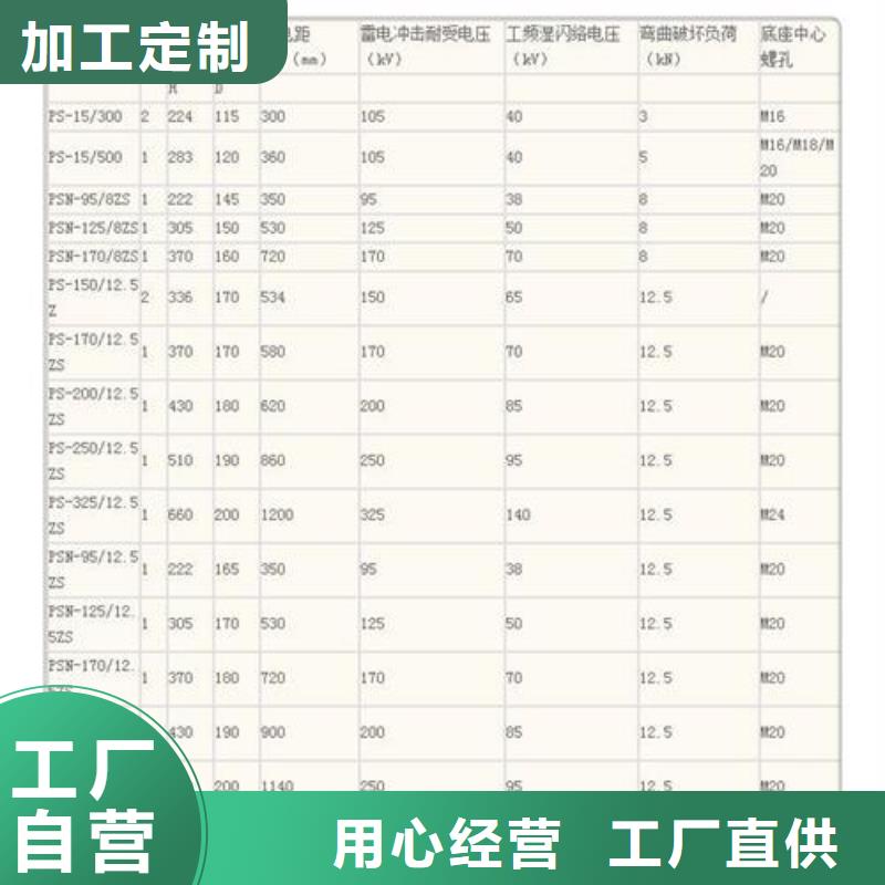 FXBW2-220/100硅胶绝缘子