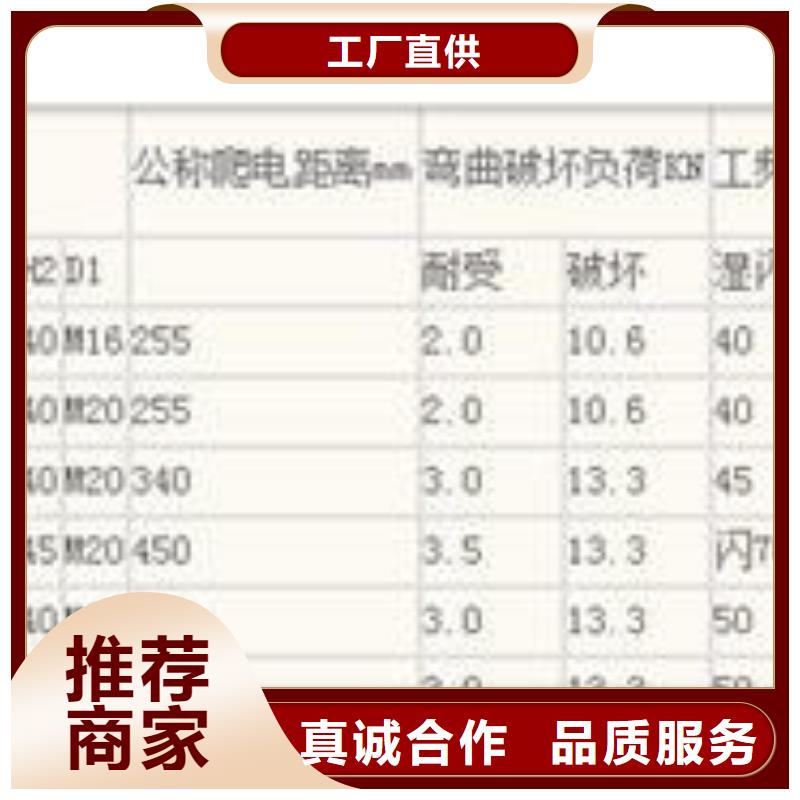 ZSW2-35/10-4高压陶瓷绝缘子