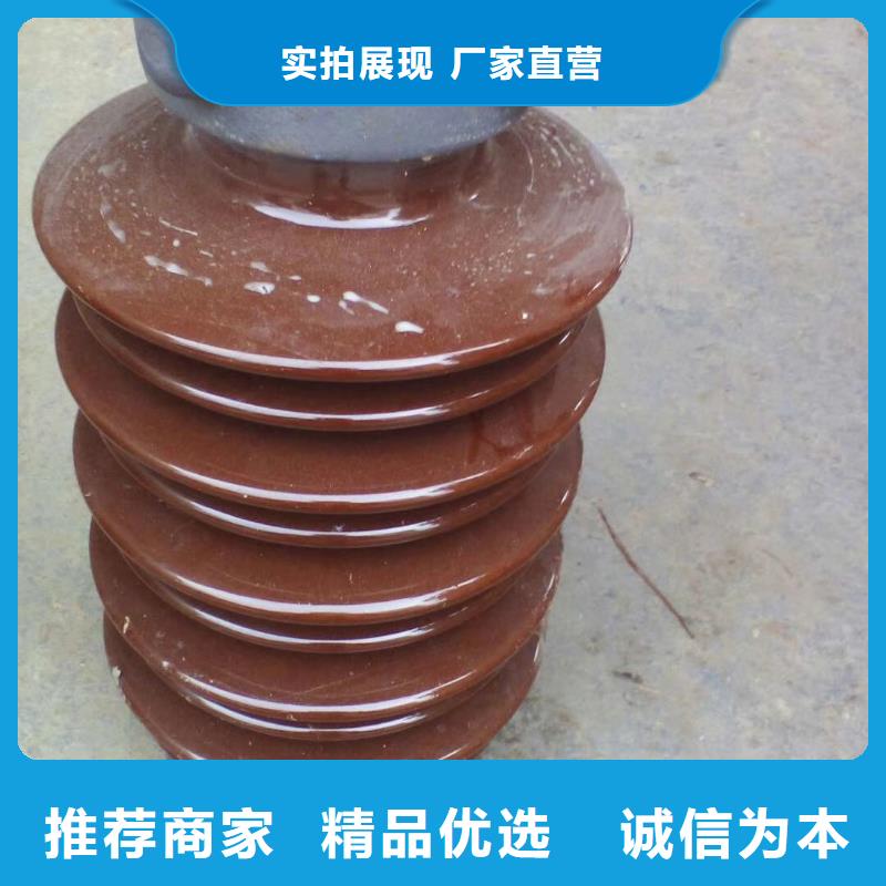 FXBW3-66/100棒型绝缘子