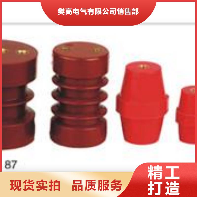 ZSW2-20/10高压绝缘子