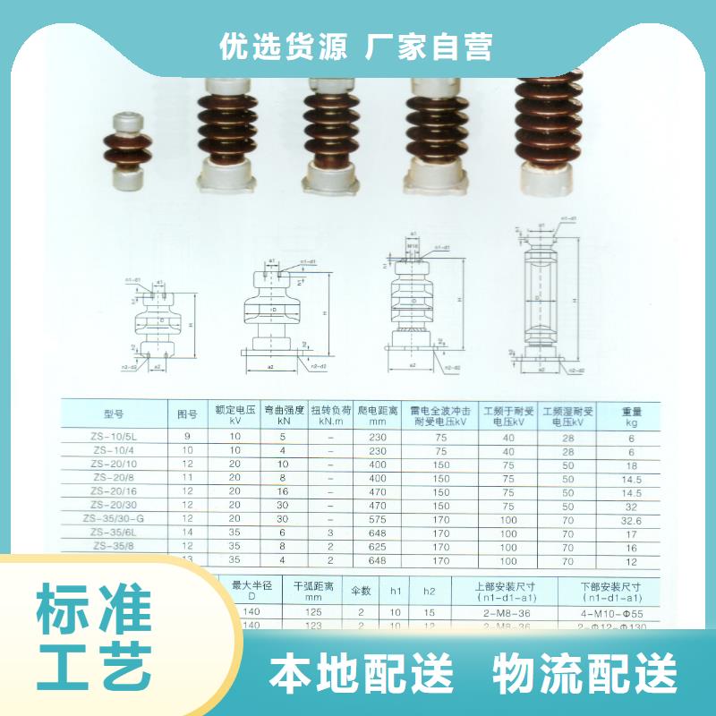 ZS2-35/1000陶瓷支柱绝缘子