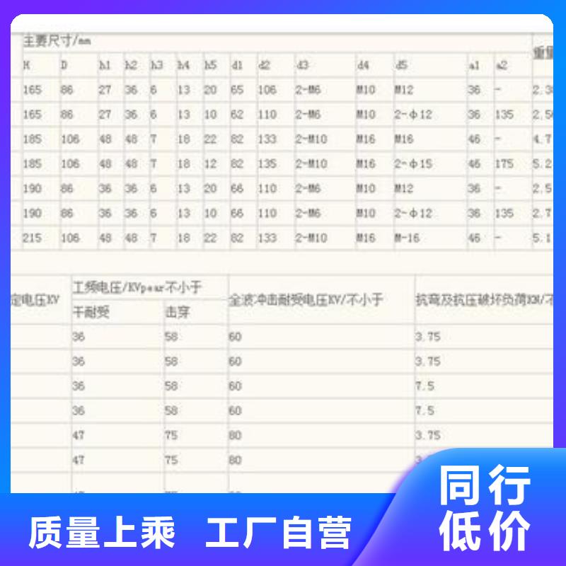 FXBW1-500/300棒型绝缘子