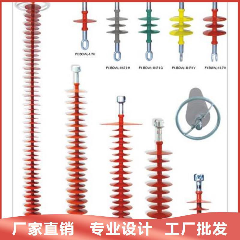 ZSW-24/8绝缘子