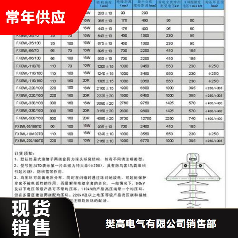 FXBW3-220/160棒型绝缘子