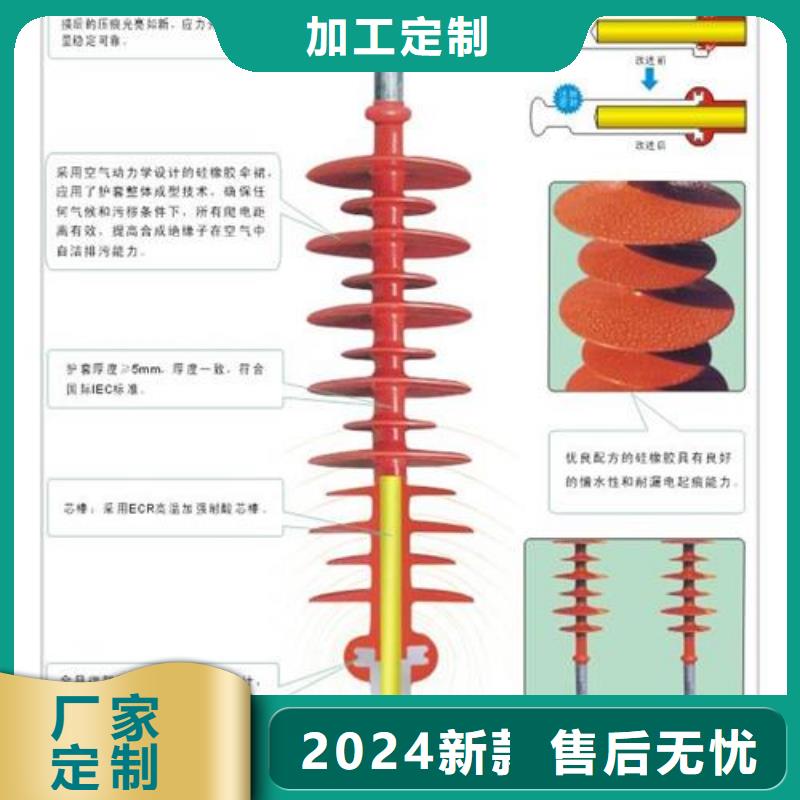 FXBW4-110/70高压绝缘子说明