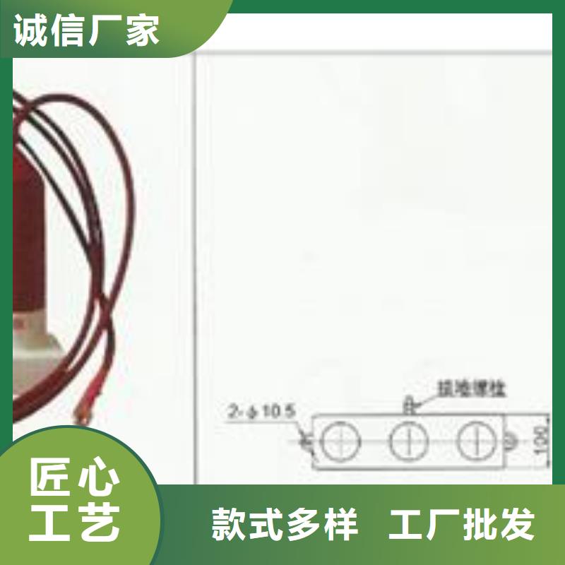 TBP-A-42F/630W2三相组合式避雷器