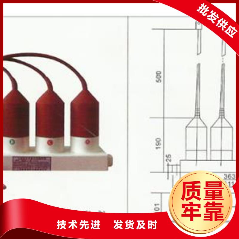 过电压保护器BSTG-A-7.6哪里有卖