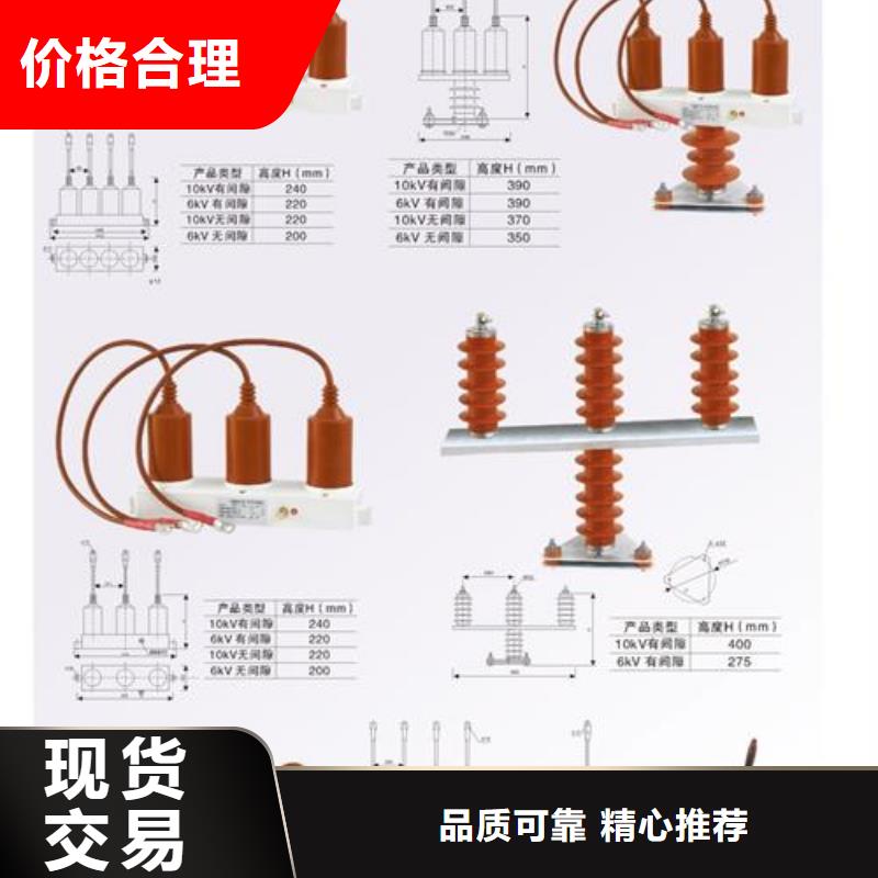 TBP-A-42F/630W2三相组合式避雷器