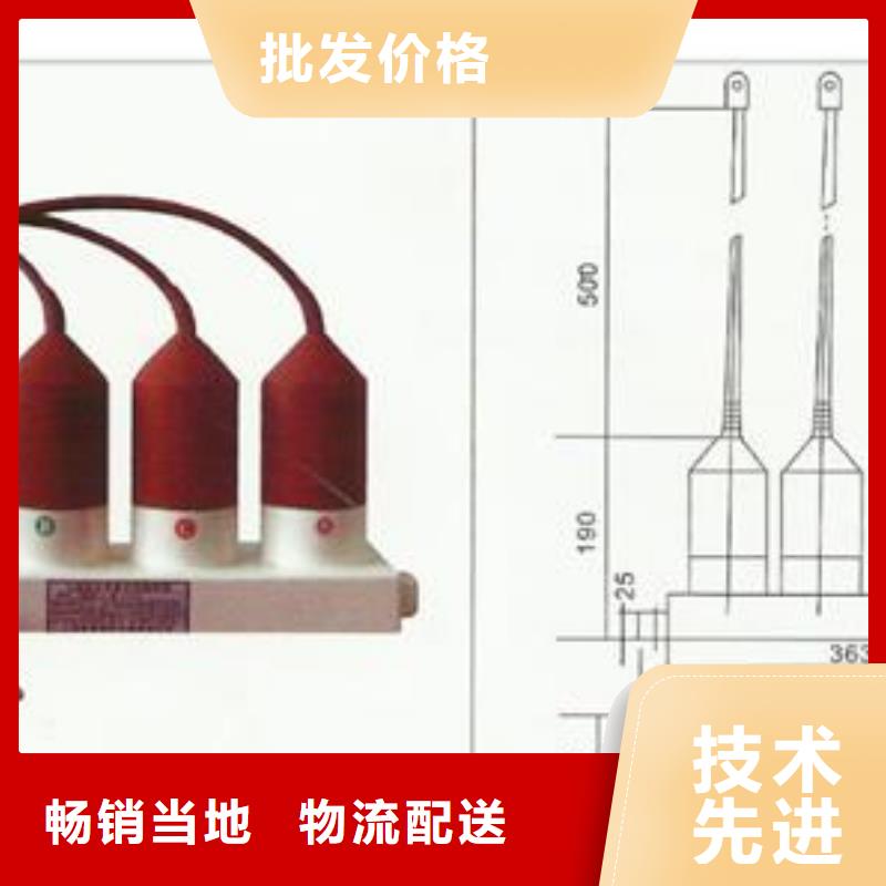 过电压保护器【真空断路器】一站式采购商家