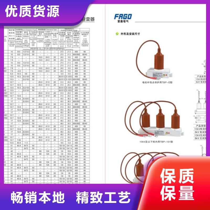 组合式避雷器TBP-A-42F/200哪里有卖