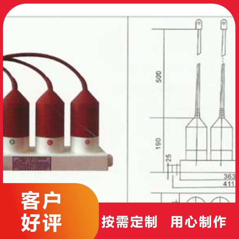 过电压保护器氧化锌避雷器厂家按需定制