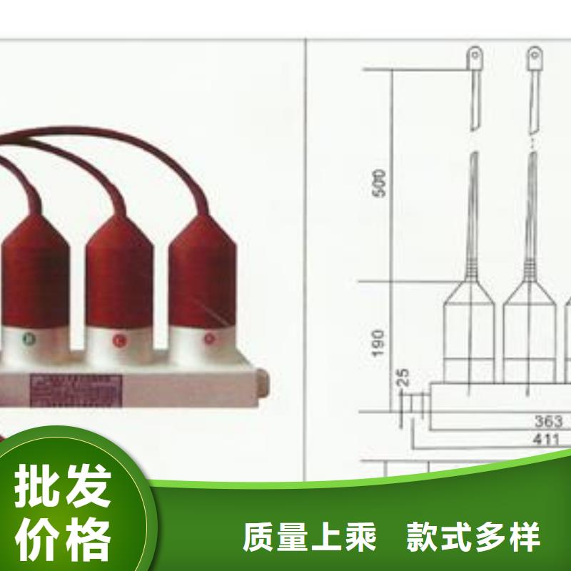 组合式避雷器BSTG-C-7.6哪里有卖