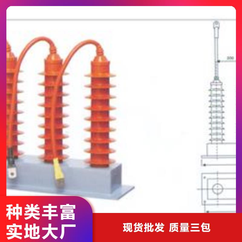 TBP-B-35/200三相组合式过电压保护器樊高电气