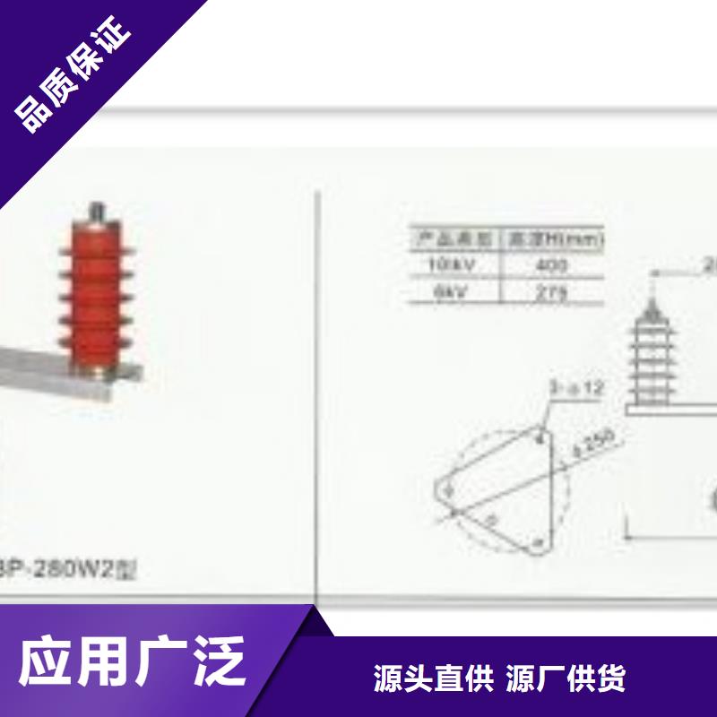 组合式避雷器TBP-B-12.7F/131-J图片