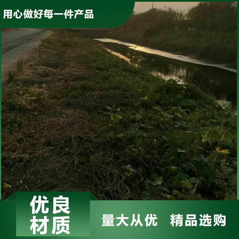 河南土壤固化剂临时道路固化土预算