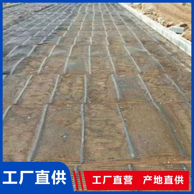 单向塑料格栅玻纤土工格栅用心做好每一件产品