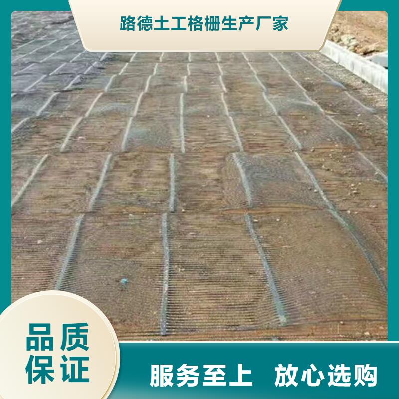 单向塑料格栅钢塑土工格栅当地货源