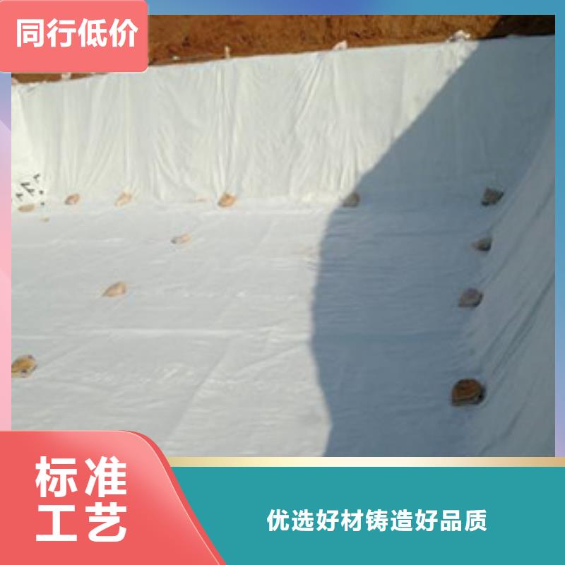 土工布,塑料排水板敢与同行比服务