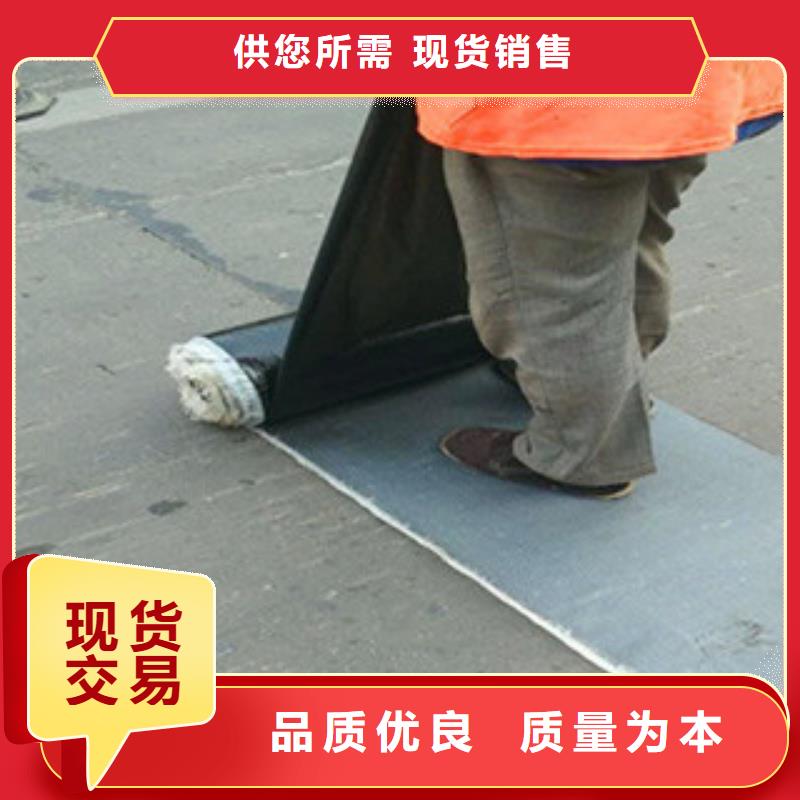 防裂贴【塑料土工格栅】种类齐全