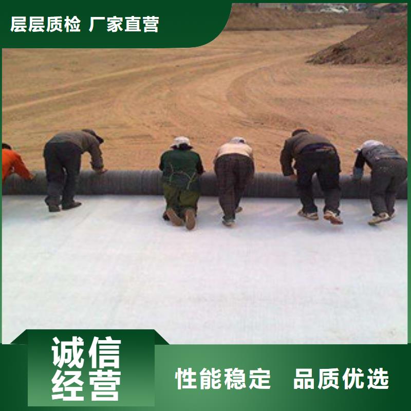 膨润土防水毯三维植被网主推产品