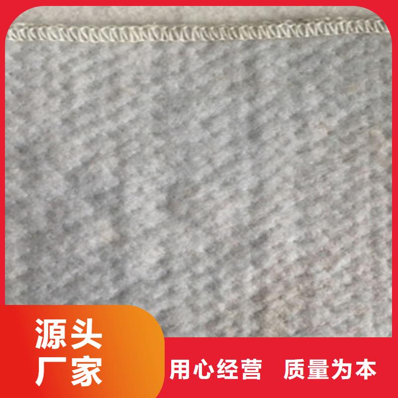 膨润土防水毯钢塑土工格栅实力大厂家