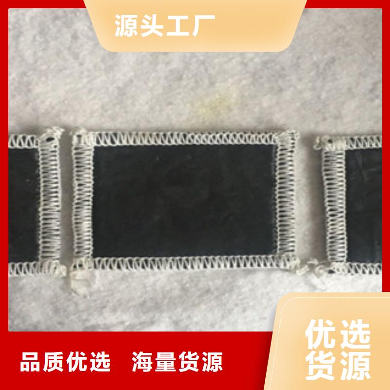 膨润土防水毯三维植被网主推产品