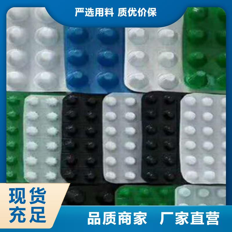 塑料排水板H20塑料排水板导水板按需设计