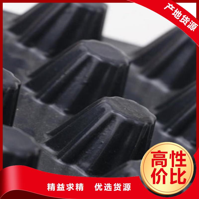 塑料排水板排蓄水板土工布精工打造