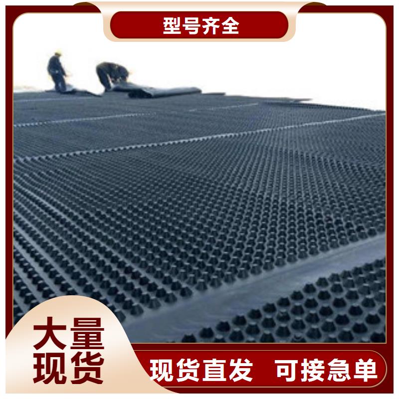 塑料排水板排蓄水板土工布精工打造