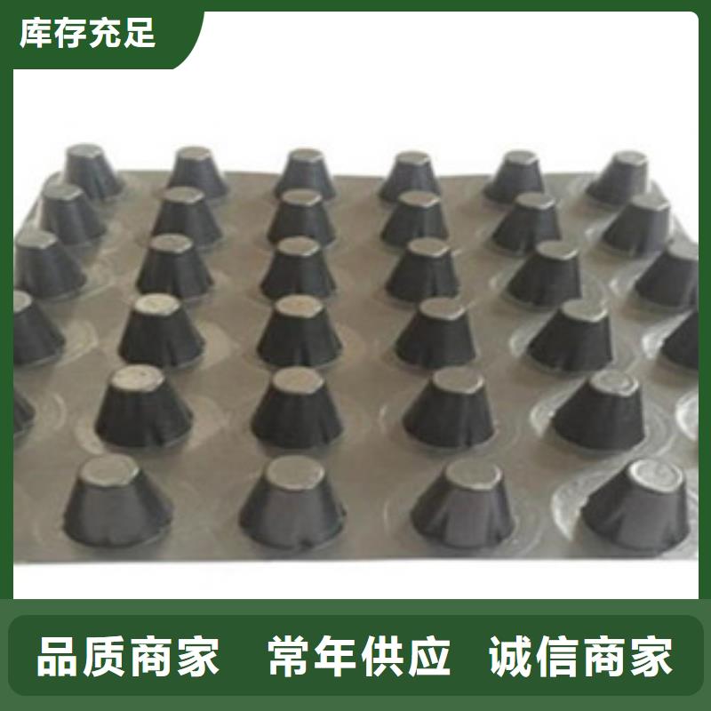 塑料排水板疏水板凹凸型卷材防排水板真正让利给买家
