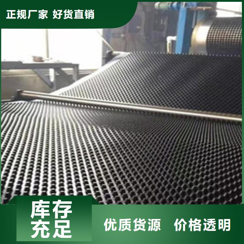 塑料排水板H20塑料排水板导水板按需设计