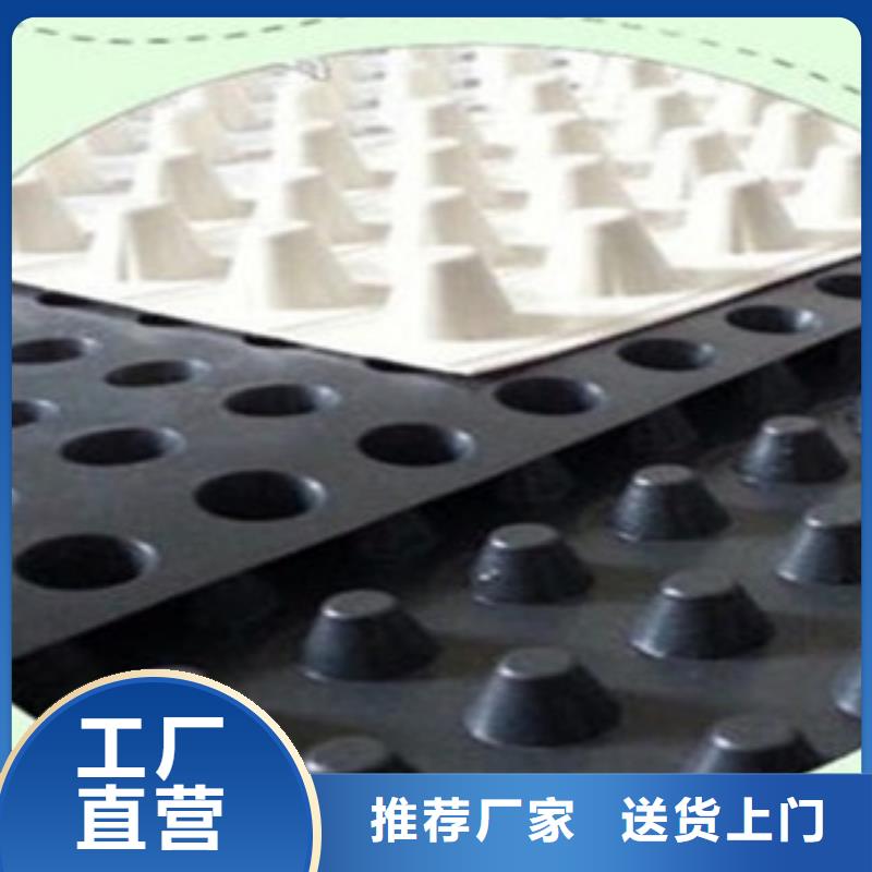 【塑料排水板】塑料土工格栅好货直供