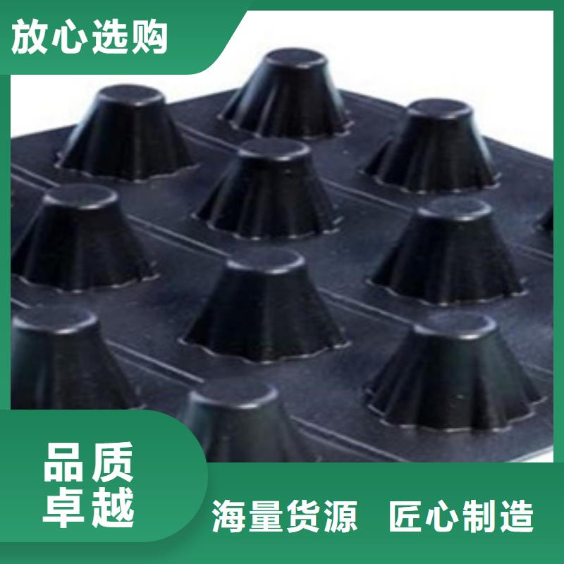 塑料排水板屋顶绿化排水板土工布专业生产N年