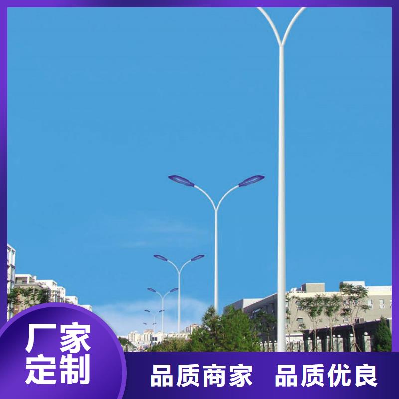 路灯路灯杆监控杆路灯厂家直销欢迎询价-星河路灯